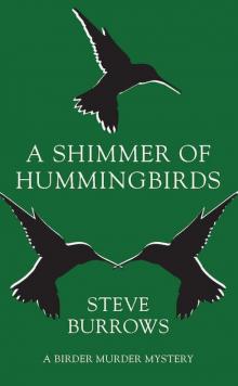 A Shimmer of Hummingbirds Read online