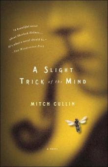 A Slight Trick of the Mind Read online