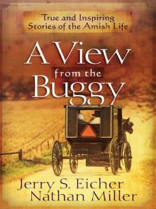 A View from the Buggy Read online