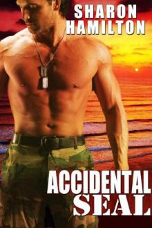 Accidental SEAL (SEAL Brotherhood #1) Read online