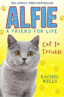 Alfie Cat In Trouble Read online