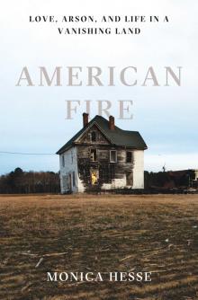 American Fire Read online