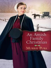 An Amish Family Christmas Read online