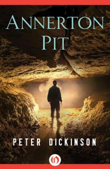 Annerton Pit Read online
