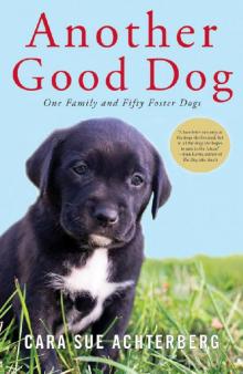Another Good Dog Read online