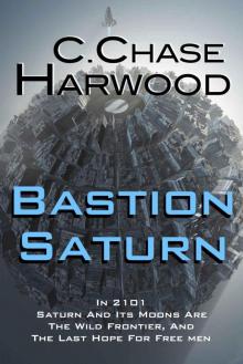 Bastion Saturn Read online