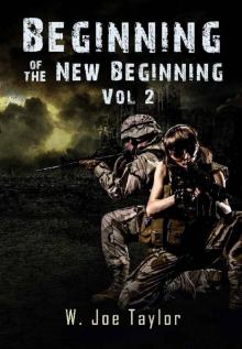 Beginning of the New Beginning, Vol. 2 Read online