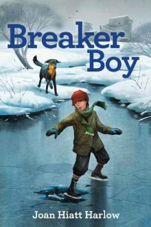 Breaker Boy Read online