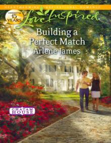 Building a Perfect Match Read online