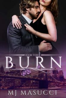 Burn: Book 3 (The Heat Series) Read online