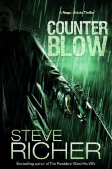 Counterblow (A Rogan Bricks Thriller Book 2) Read online