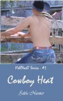 Cowboy Heat - Hell Yeah 1