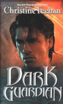 Dark Guardian (Dark Series - book 9) Read online