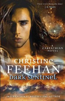 Dark Sentinel ('Dark' Carpathian Book 32)