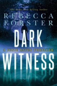 Dark Witness Read online