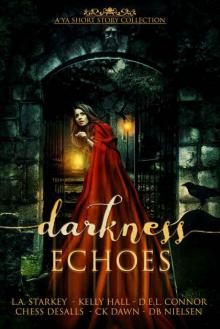 Darkness Echoes: A Spooky YA Short Story Collection