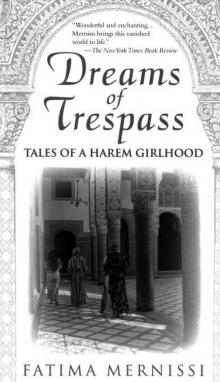 Dreams of Trespass: Tales of a Harem Girlhood Read online