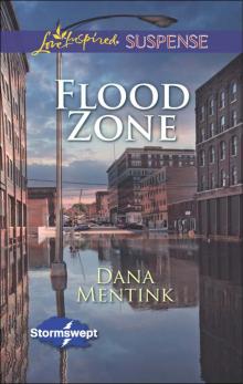 Flood Zone Read online