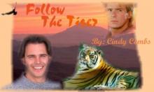 Follow the Tiger Read online