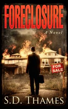 Foreclosure: A Novel Read online
