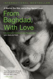 From Baghdad with Love Read online