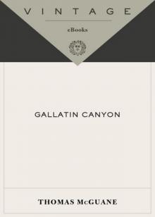 Gallatin Canyon Read online