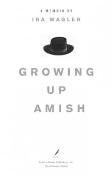 Growing Up Amish Read online