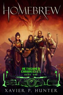 Homebrew (Metagamer Chronicles Book 1) Read online