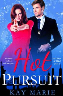 Hot Pursuit (To Catch a Thief Book 1) Read online