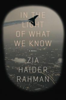 In the Light of What We Know: A Novel Read online