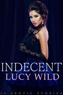 Indecent: 15 Erotic Victorian Romance Story Box Set