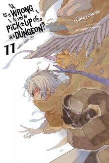 Is It Wrong to Try to Pick Up Girls in a Dungeon?, Vol. 11 Read online