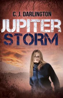 Jupiter Storm (Jupiter Winds series Book 2) Read online