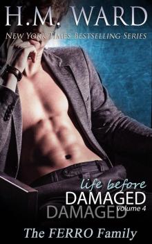 Life Before Damaged Vol. 4 Read online