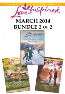 Love Inspired March 2014 - Bundle 2 of 2: North Country FamilySmall-Town MidwifeProtecting the Widow's Heart Read online