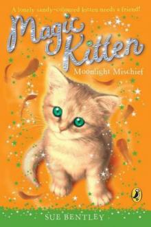 Magic Kitten: Moonlight Mischief Read online