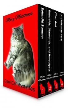 Magical Cool Cats Mysteries Boxed Set Vol 1 (Books 1, 2 & 3 & A Christmas Feral) Read online