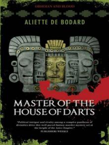 Master of the House of Darts Read online