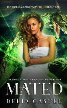 Mated: Reverse Harem Dragon Shifter Fairytale (Goldilocks and The Three Dragons Trilogy 2) Read online