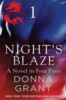 Night's Blaze: Part 1 Read online