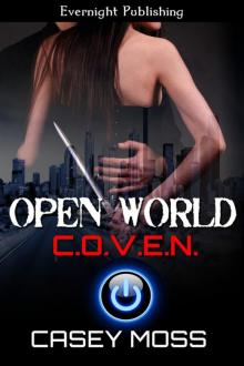 Open World Read online