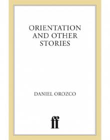 Orientation Read online