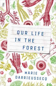 Our Life in the Forest Read online