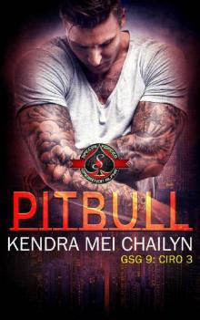 Pitbull_Special Forces_Operation Alpha Read online