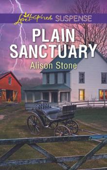 Plain Sanctuary Read online