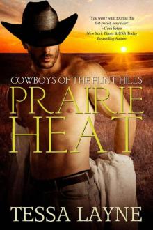 Prairie Heat (Cowboys of The Flint Hills #1) Read online