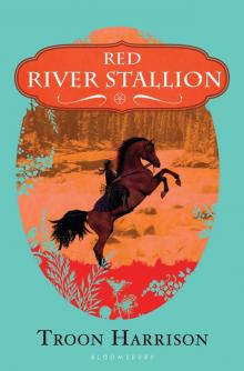 Red River Stallion Read online
