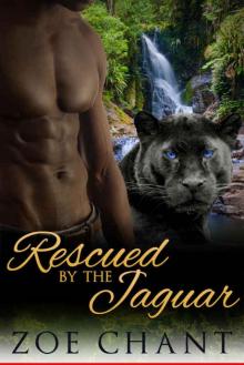 Rescued By The Jaguar: BBW Paranormal Jaguar Shifter Romance Read online