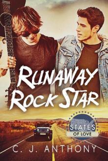 Runaway Rock Star Read online