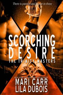 Scorching Desire (The Trinity Masters) Read online